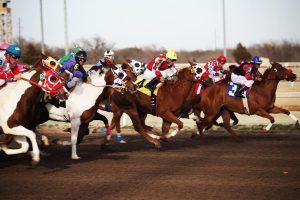Official Horse Racing Tips India: Pro Tips to Win in India (2027)